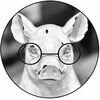 reyr588